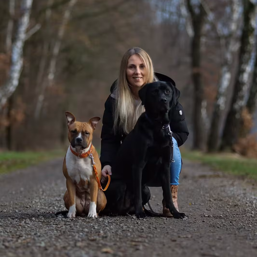Hundetrainerin Alina mit ihrem Labrador und ihrer American Staffordshire Terrier Hündin
