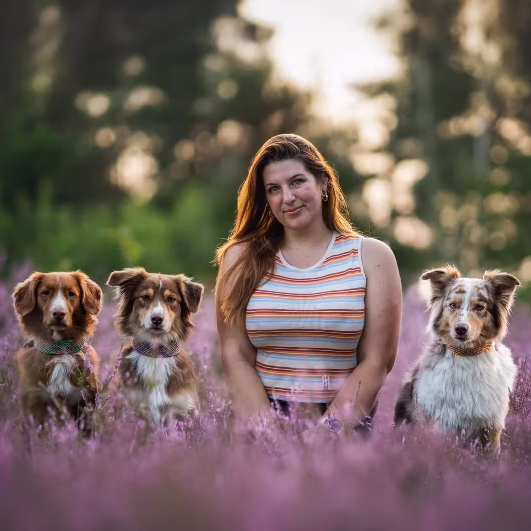 Hundetrainerin Effi mit ihrem Toller und ihren zwei Australien Sheppards